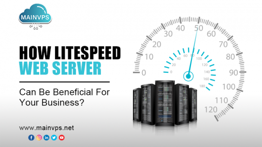 How LiteSpeed Web Servers Can Be Beneficial For Your Business?